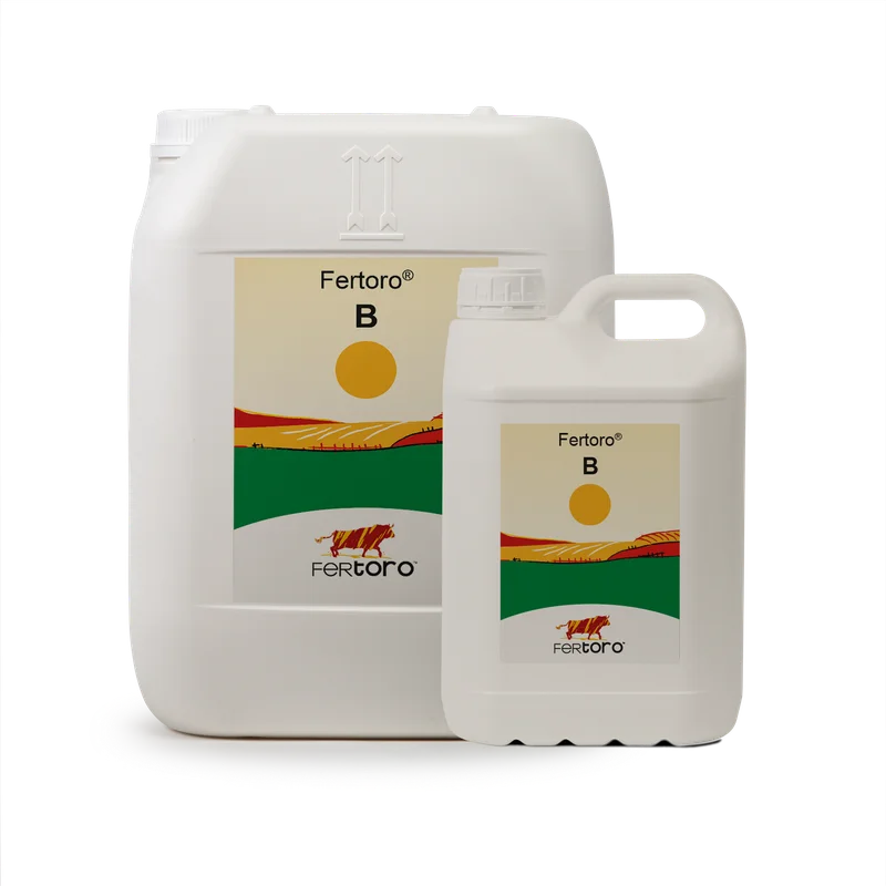 Fertoro B